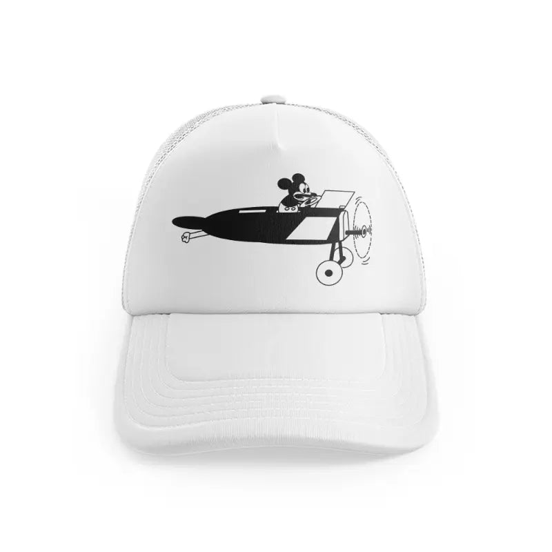 Micky On Planewhitefront view