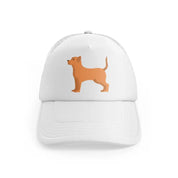 011 chihuahua white trucker hat