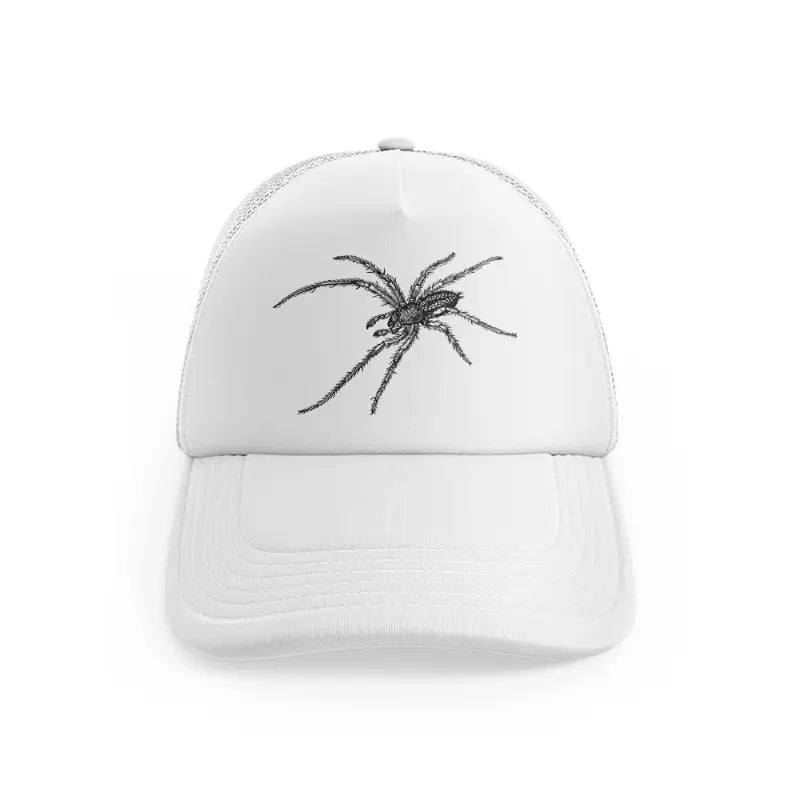 Black & White Spiderwhitefront view