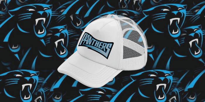 Carolina Panthers Trucker Hats
