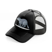 014 raccoon black trucker hat