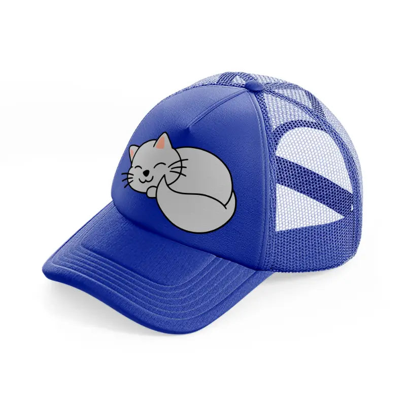 fluffy cat blue trucker hat