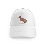 043-hare-white-trucker-hat