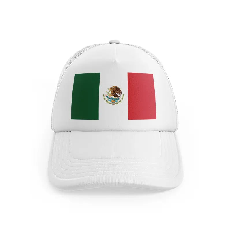 Flagof_mexico_whitefront-view