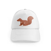 048-squirrel-white-trucker-hat