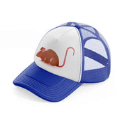 045 mouse blue and white trucker hat