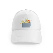 018-box-white-trucker-hat