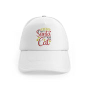 Dear Santa It Was The Catwhitefront-view