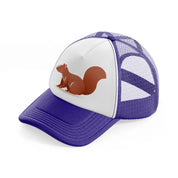 048-squirrel-purple-trucker-hat