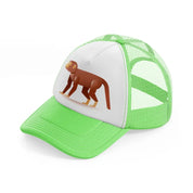 015 monkey lime green trucker hat