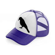 raven-purple-trucker-hat