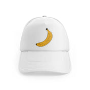 retro elements-43-white-trucker-hat