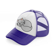 fluffy cat purple trucker hat