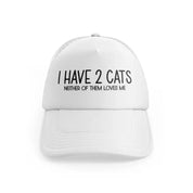 I Have 2 Cats Neither Of Them Loves Mewhitefront-view