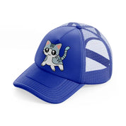 grey kitten blue trucker hat