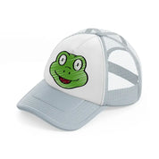 038 frog grey trucker hat