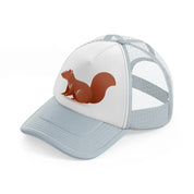 048 squirrel grey trucker hat