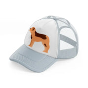 025 saint bernard grey trucker hat