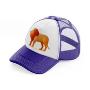 005-lion-purple-trucker-hat